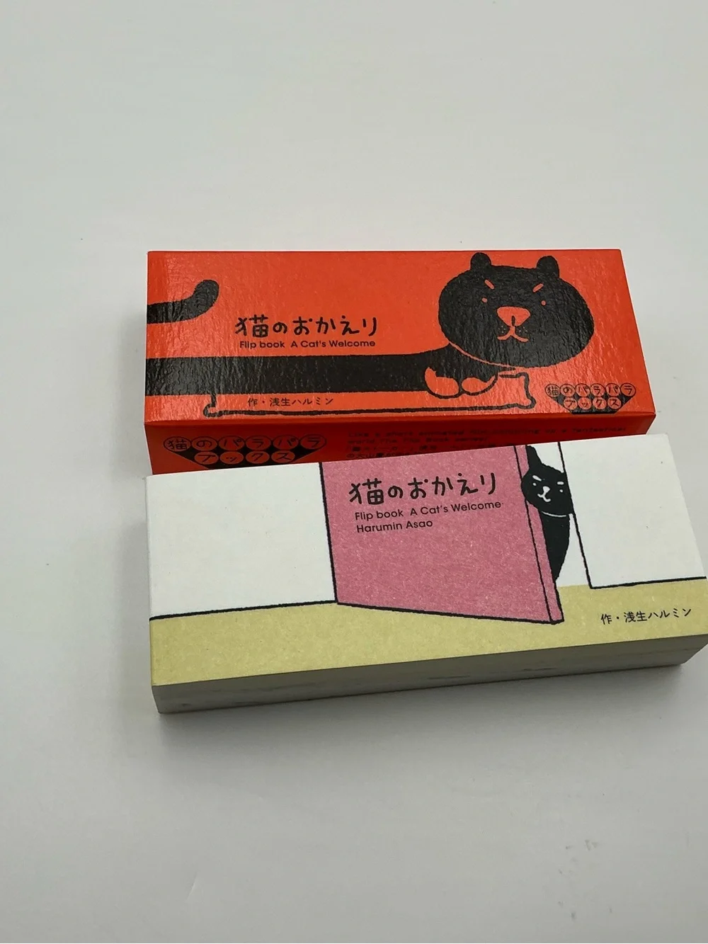 Flip Book A Cat's Welcome - Orange Cat Design